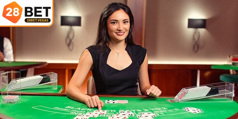 Live dealer casino thường xuyên đứng đầu về số lượt tìm kiếm