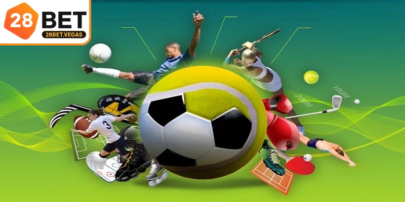 Giới thiệu đôi nét về chuyên mục thể thao chất lượng